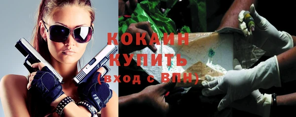 кокс Михайлов