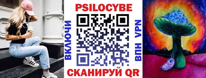 Купить закладки  Кудымкар  Псилоцибиновые грибы Psilocybine cubensis 